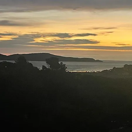 Vue Et Chant Des Oiseaux