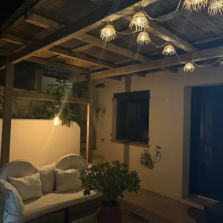 Vue Et Chant Des Oiseaux