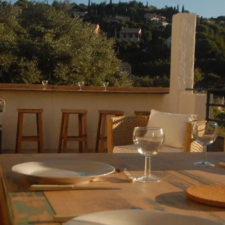 Vue Et Chant Des Oiseaux