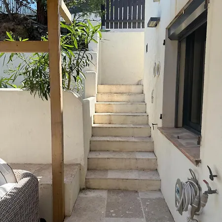 Vue Et Chant Des Oiseaux *