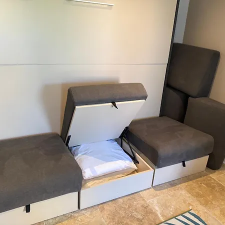 Vue Et Chant Des Oiseaux