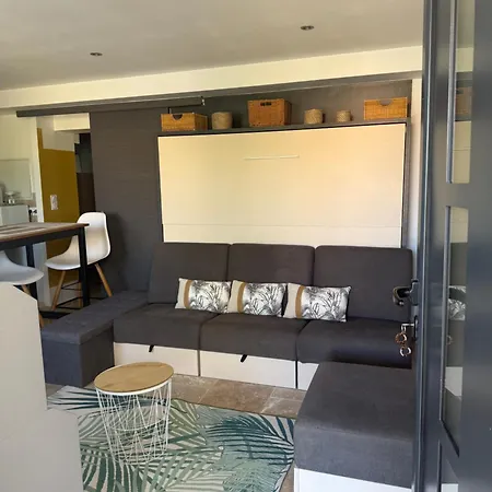 Vue Et Chant Des Oiseaux *