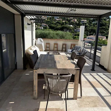 Vue Et Chant Des Oiseaux *